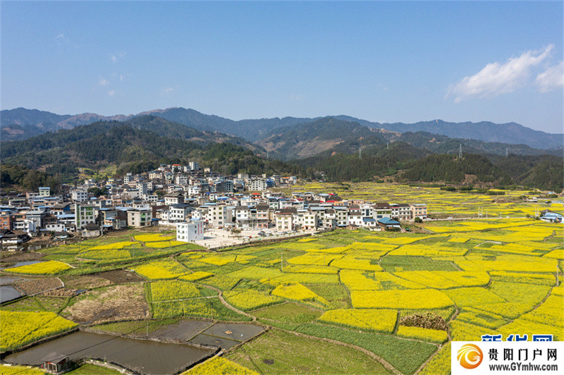 贵州从江：和美乡村春意浓