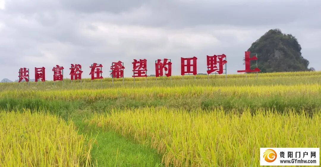 山河为卷,答一场高质量发展的时代之问——平坝区“十四五”时期高质量发展综述(图5) 山河为卷,答一场高质量发展的时代之问——平坝区“十四五”时期高质量发展综述(图5)