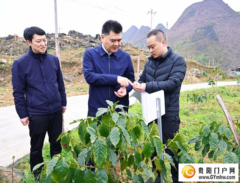 王宏调研贵阳市联系协作罗甸县助力乡村全面振兴工作