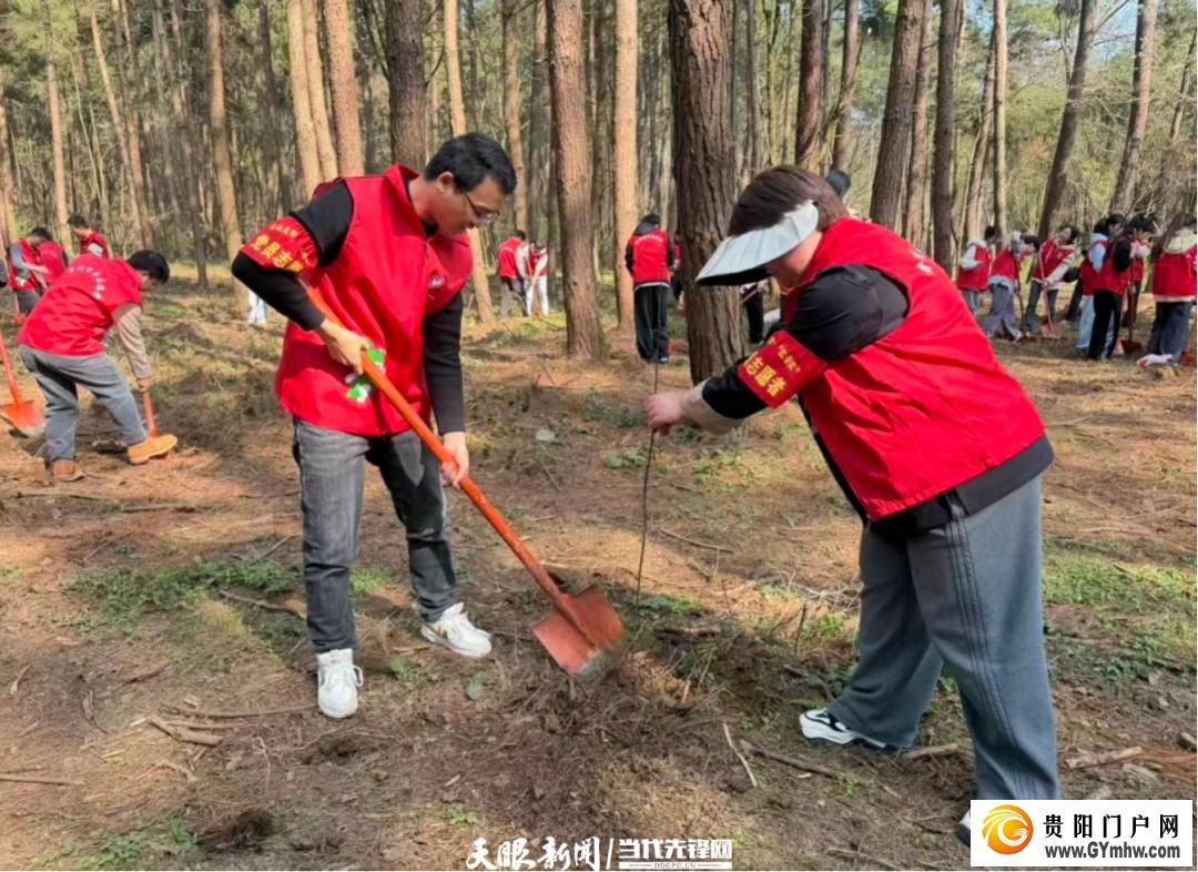 贵阳市白云区开展植树节志愿服务活动(图4)