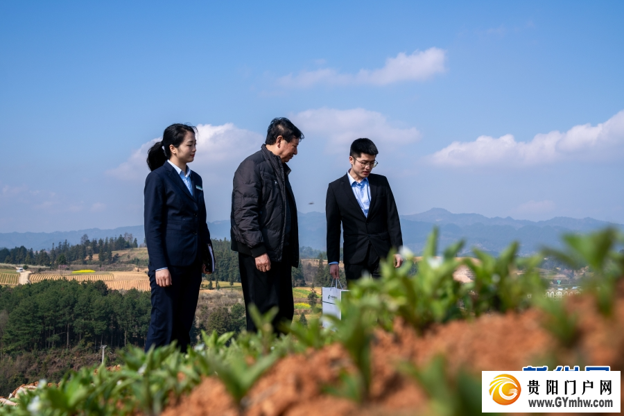 金融“及时雨” 邮储助春耕(图4)