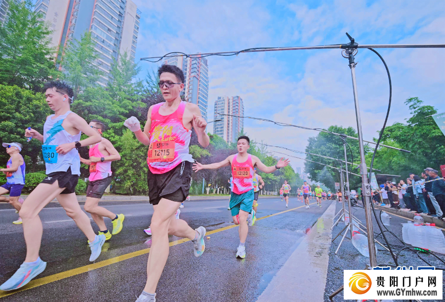 原来你是这样的“贵马”(图22) 原来你是这样的“贵马”(图22)