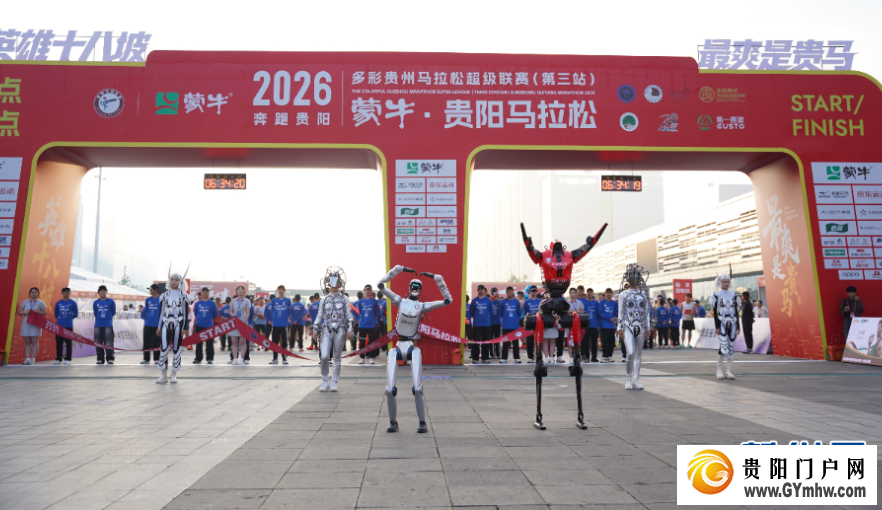 原来你是这样的“贵马”(图4) 原来你是这样的“贵马”(图4)