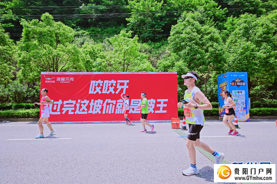 原来你是这样的“贵马”(图13) 原来你是这样的“贵马”(图13)