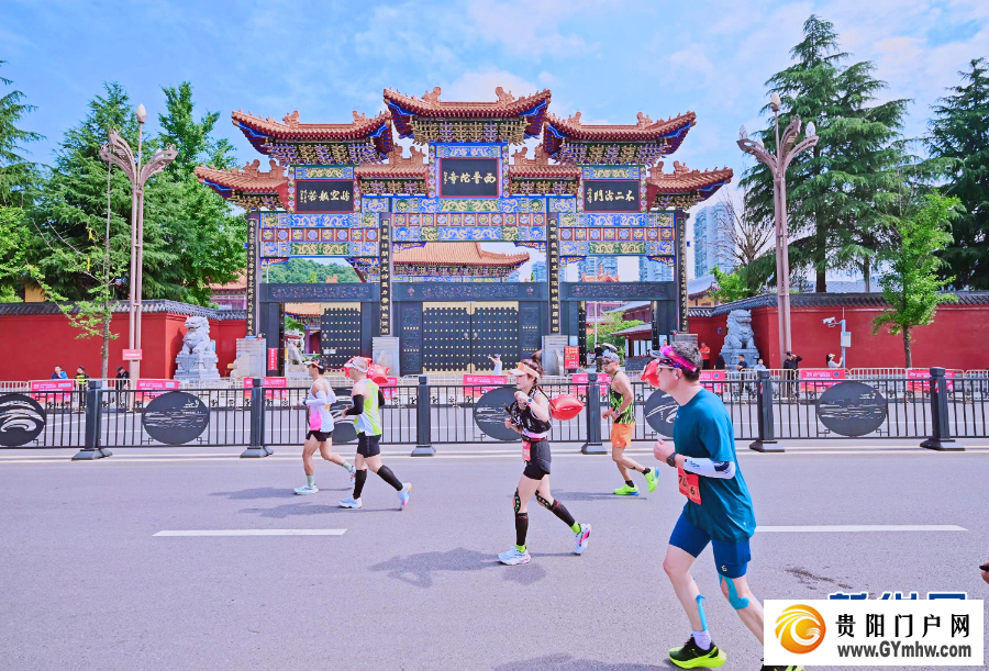 原来你是这样的“贵马”(图15) 原来你是这样的“贵马”(图15)