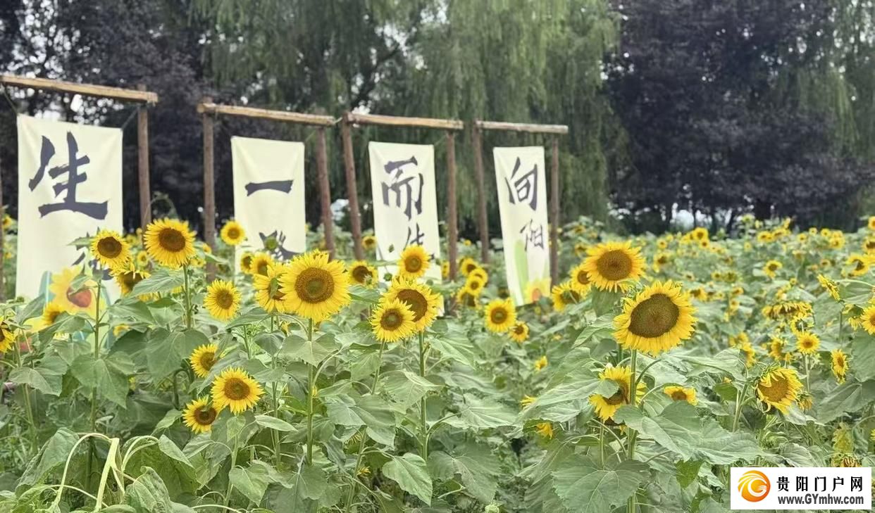 避暑之都点亮避暑经济丨趁现在,“花”点时间来贵阳贵安!(图2) 避暑之都点亮避暑经济丨趁现在,“花”点时间来贵阳贵安!(图2)