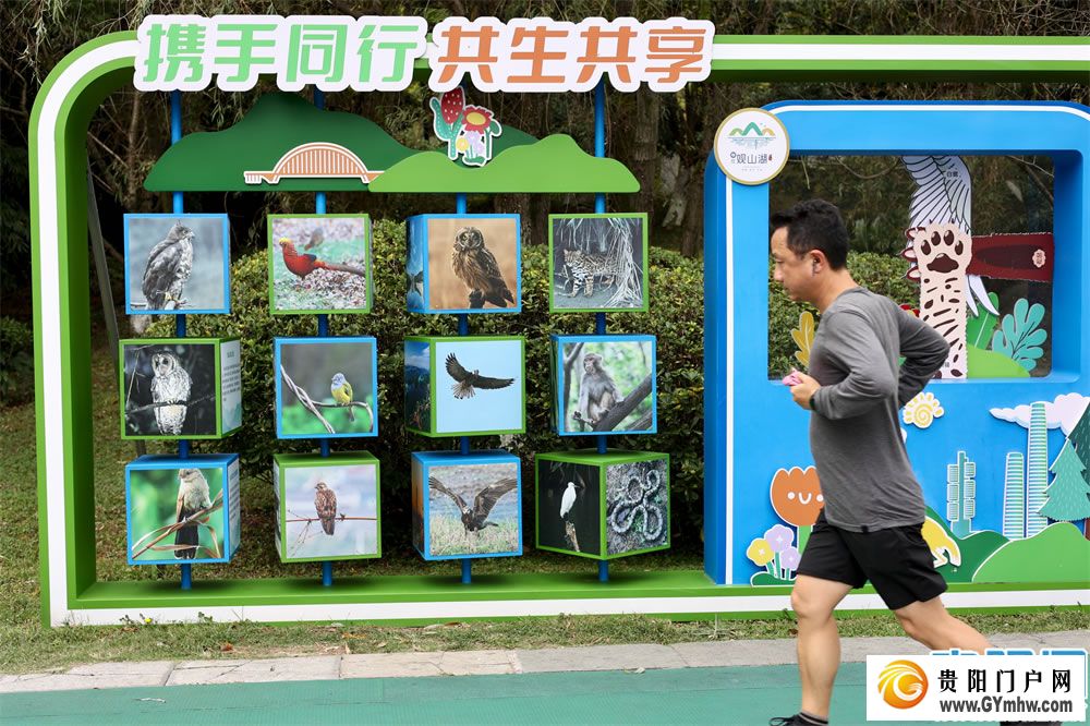 观山湖公园有了鸟类生态展(图6)