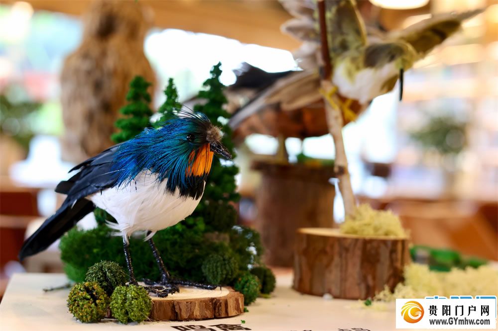 观山湖公园有了鸟类生态展